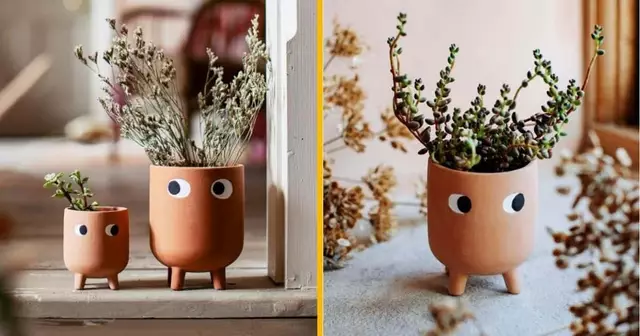 mini-pot-fleur-mouton