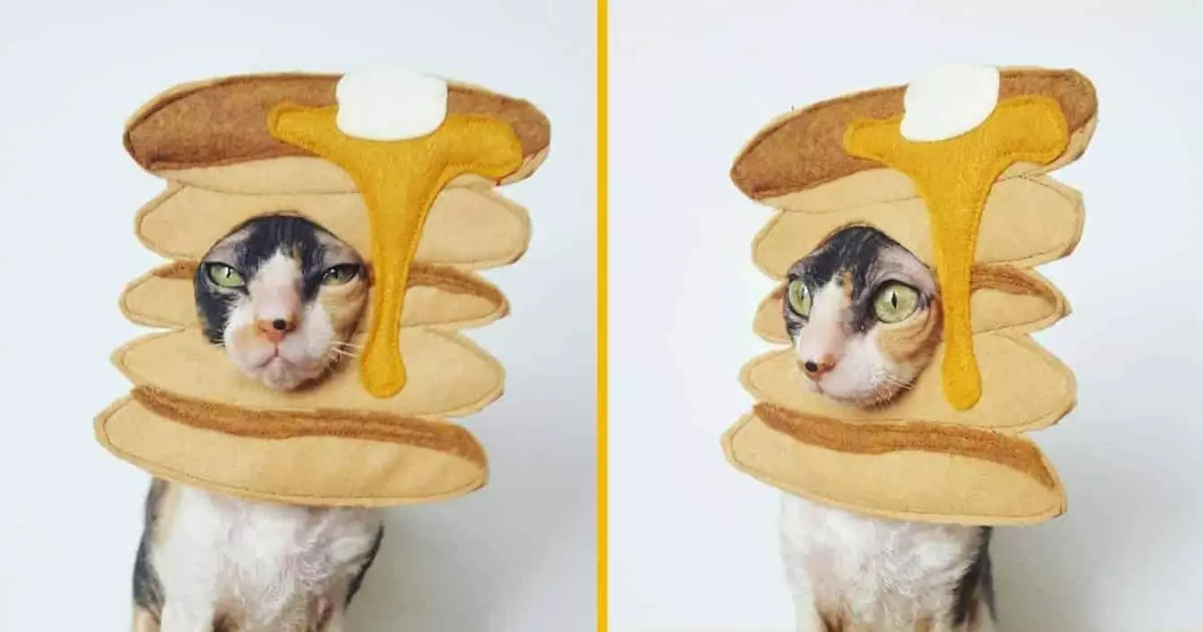 chapeau-cupcake-chat