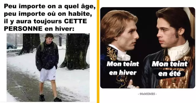 top memes hiver