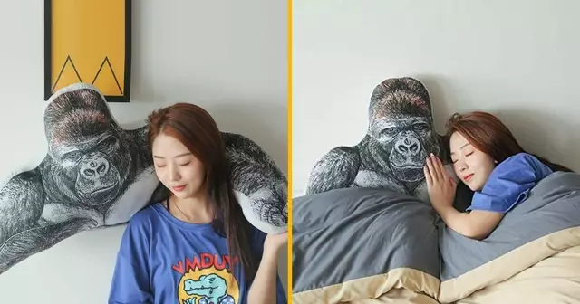 coussin-gorille-bras-rompre-solitude