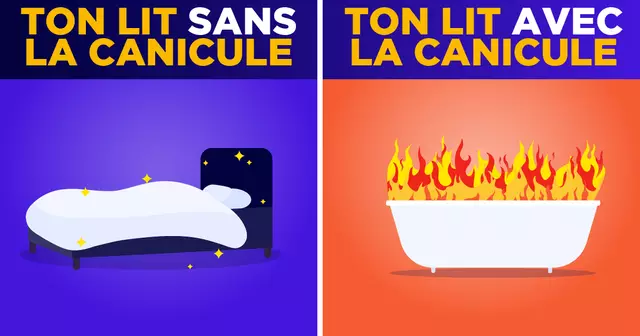 ILLUSTRATIONS_TA_VIE_SANS_VS_AVEC_CANICULE_UNE
