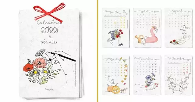 calendrier-graines-planter