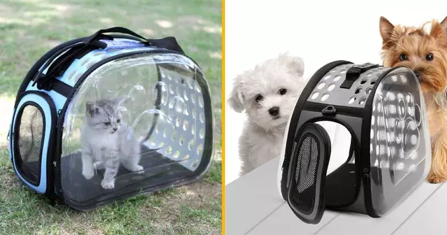 sac-transparent-chien-chat
