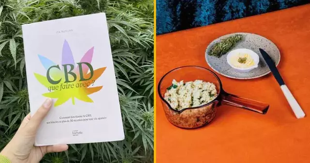 livre-recette-cbd