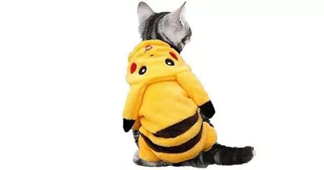 deguisement-pikachu-pour-chat