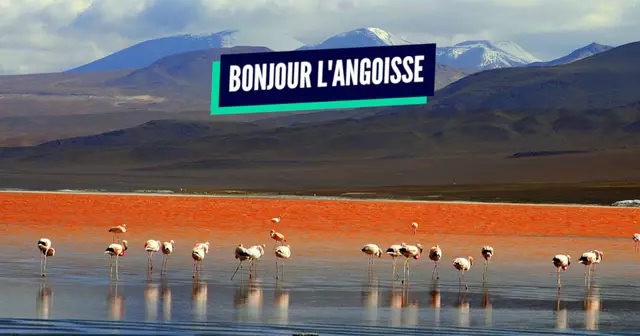 une_bolivie
