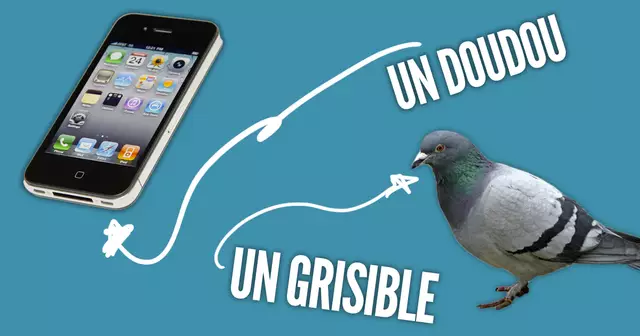 une_trucs_renommer_3