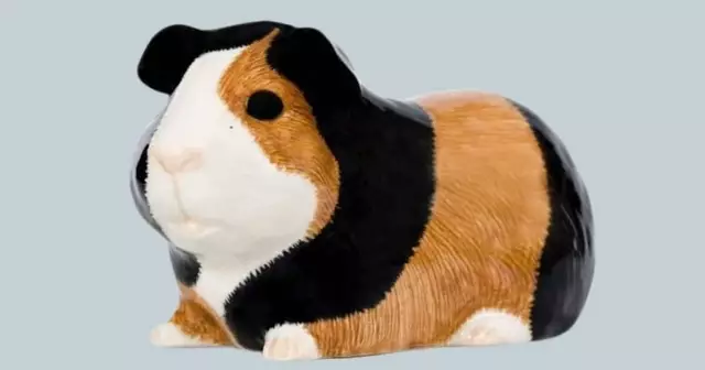 tirelire-cochon-dinde