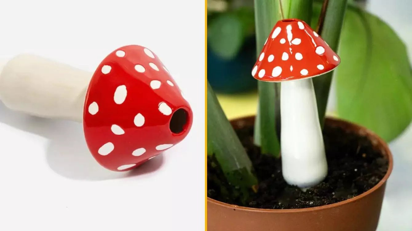 irrigateur-champignon