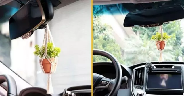 pots-fleurs-suspendus-voiture