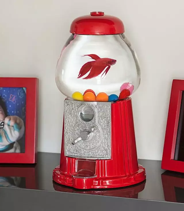 aquarium-distributeur-de-bonbons