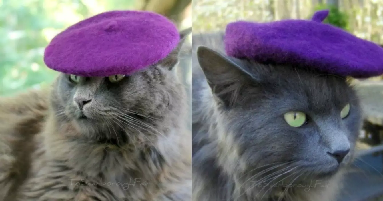 beret-chat