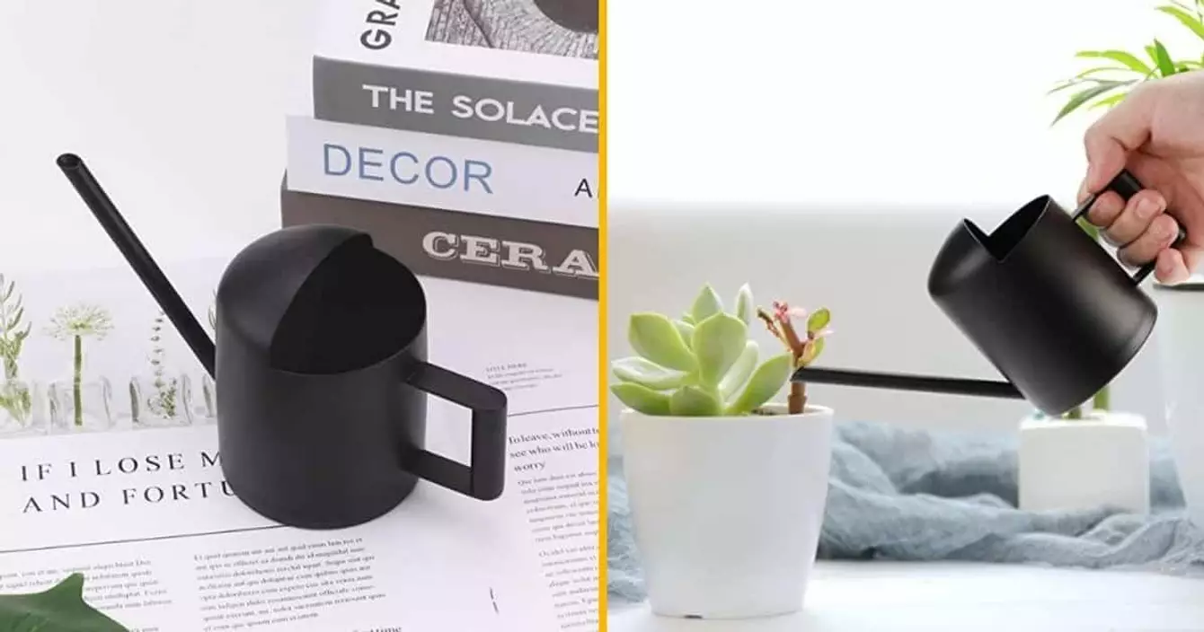 mini-arrosoir-acier-inoxydable