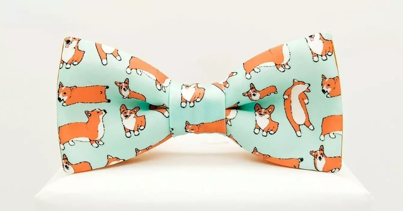 noeud-papillon-corgi