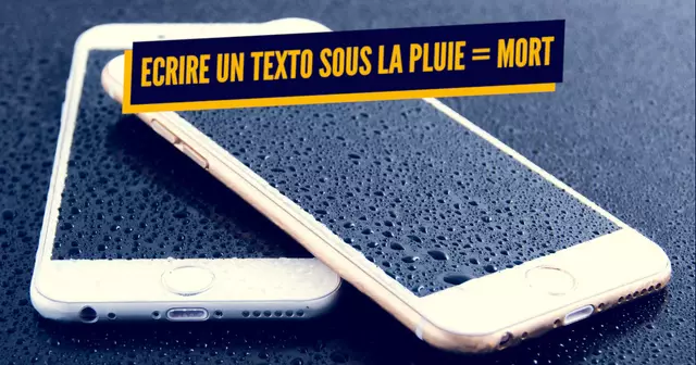 une_smartphone-bete