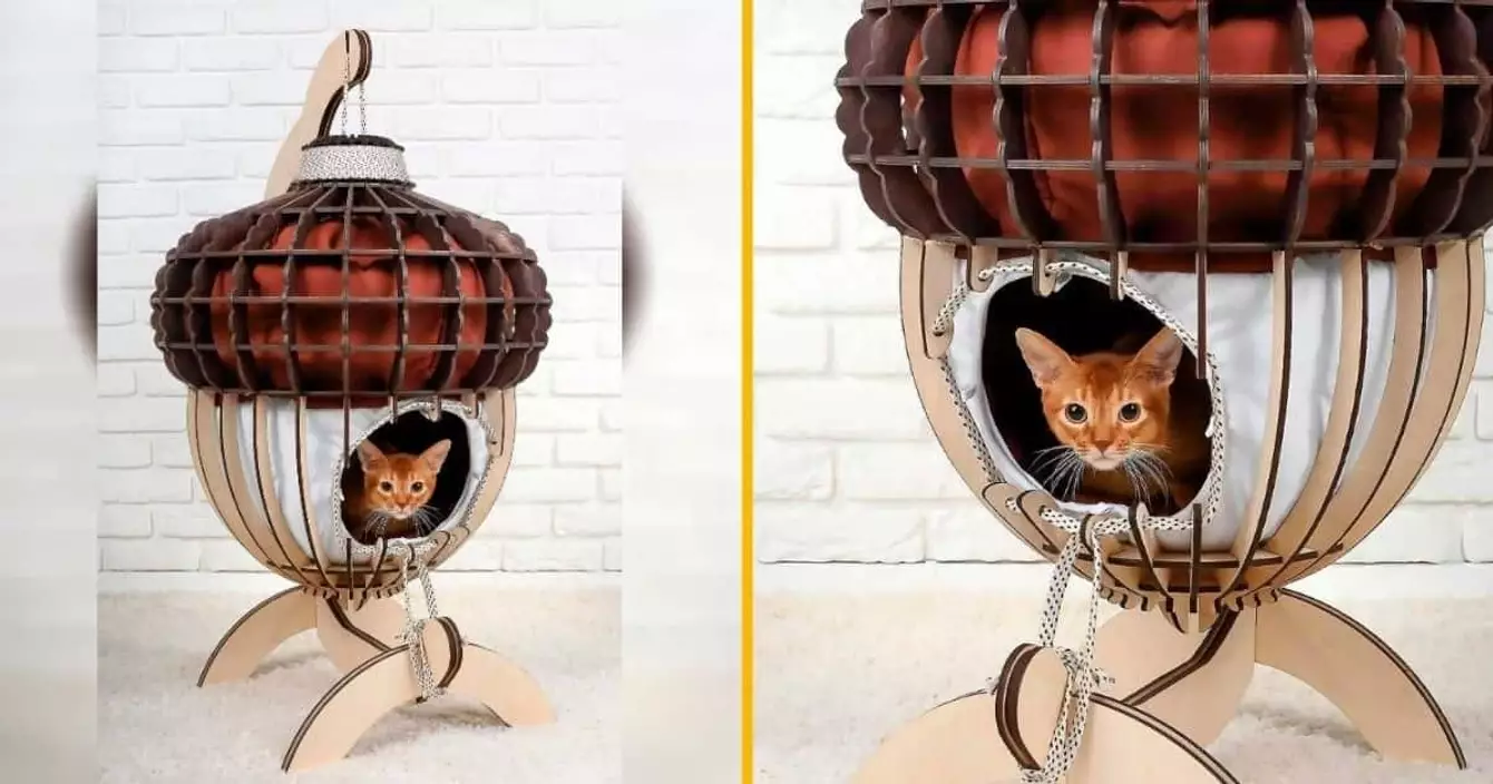 modele-niche-forme-gland