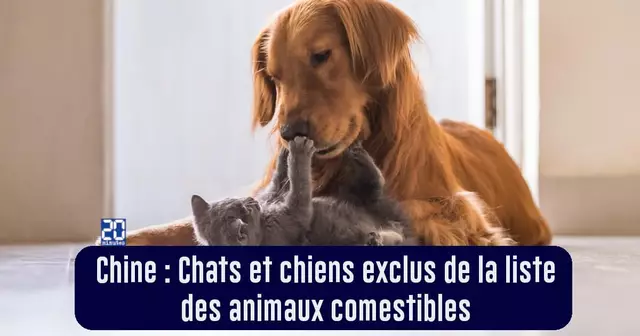 BONNES_NOUVELLES_10AVRIL