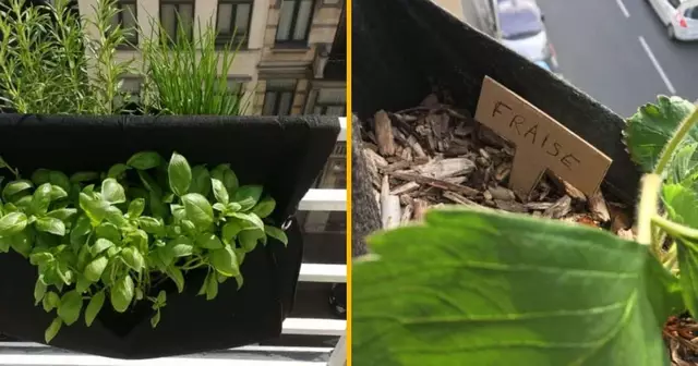 jardiniere-double-balcon