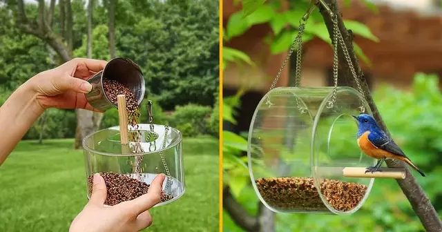 mangeoire-transparente-suspendre