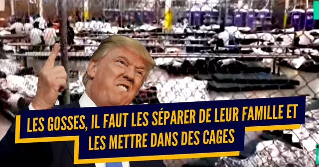 une_trump-education_conseil