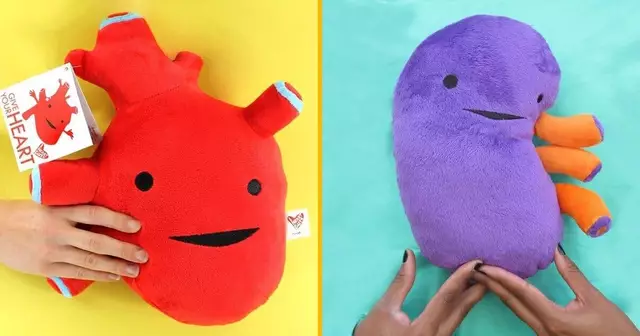 organes-en-peluche