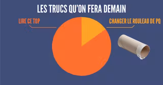 une_infographie_camembert