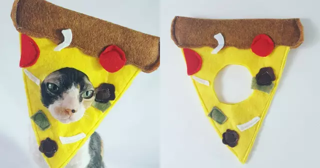 chapeau-pizza-chat