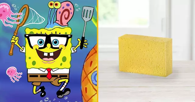 ASOS_GET-THE-LOOK_eponge