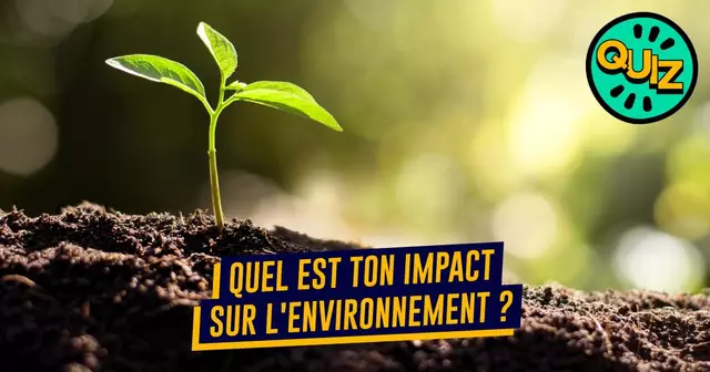 UNE_TOPITO_quiz-OLD-EDF-2