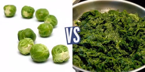 battle-347348-1420045545