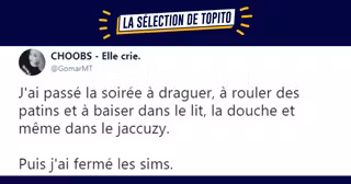 une twitter sims