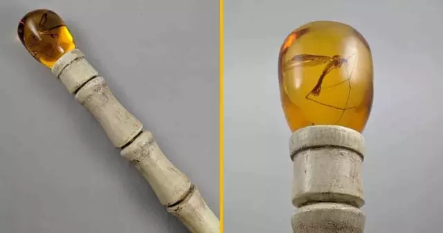 replique-fossilise-john-hammond-jurassic-park