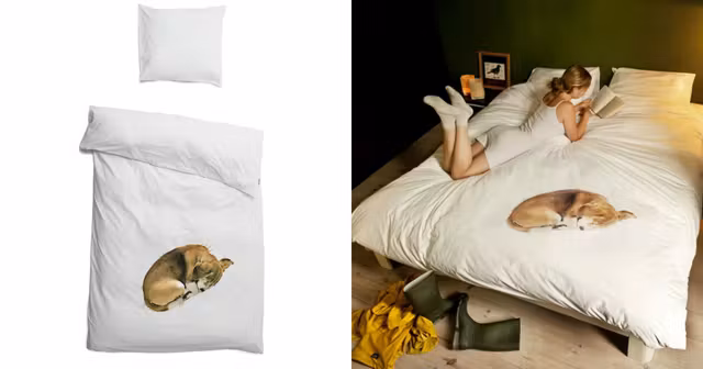 housse-couette-chien