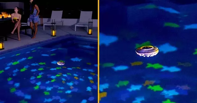 lumiere-transformer-piscine-aquarium-geant