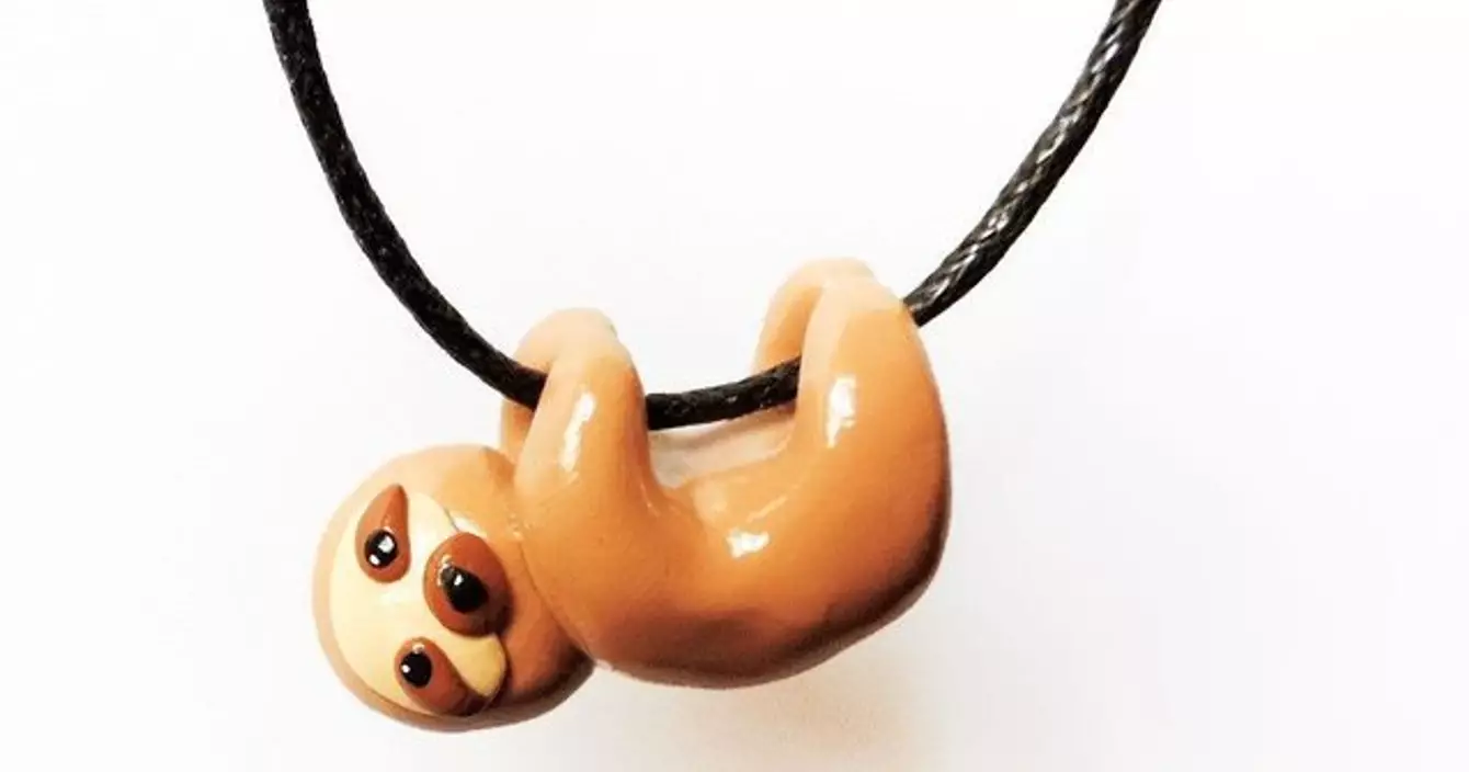 681623253927592870_ef6a06532758