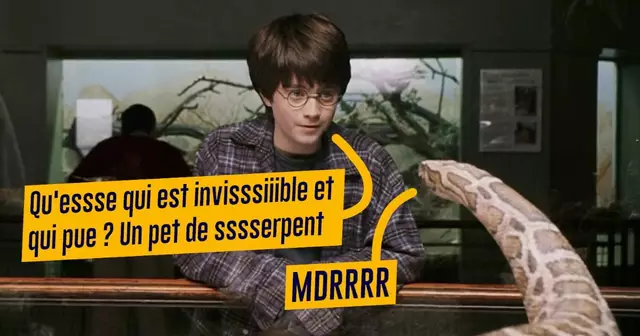 top blagues fourchelang 1