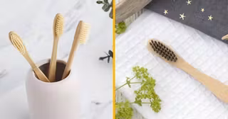 brosse-a-dents-bambou-plastique-organique-biodegradable