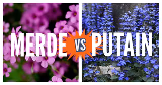 Pic Monkey Collage 6.jpg