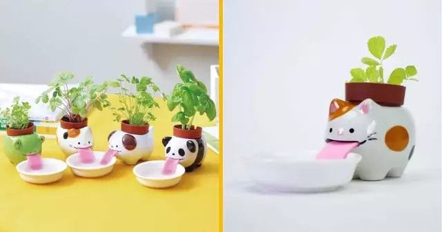 mini-planteur-animal-boit-eau