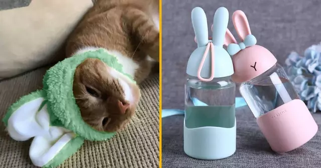 top-cadeaux-pour-les-fans-de-lapins