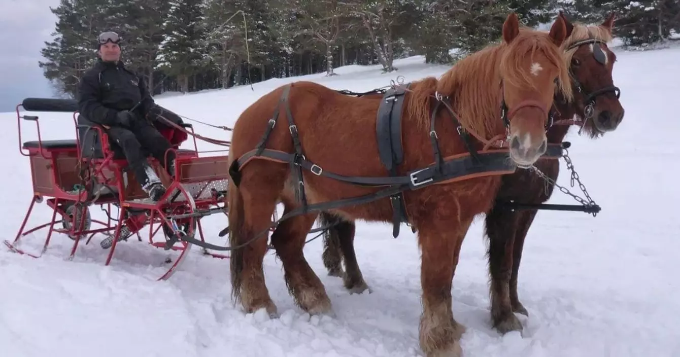 Sans titre - 2021-11-10T114332.013