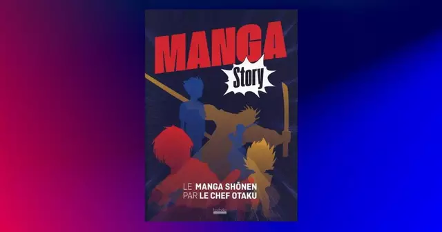 livre-manga-story-manga-shonen