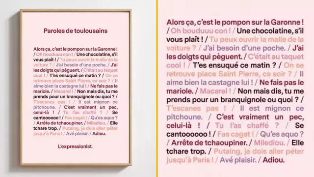 poster-parole-toulousains-chocolatine