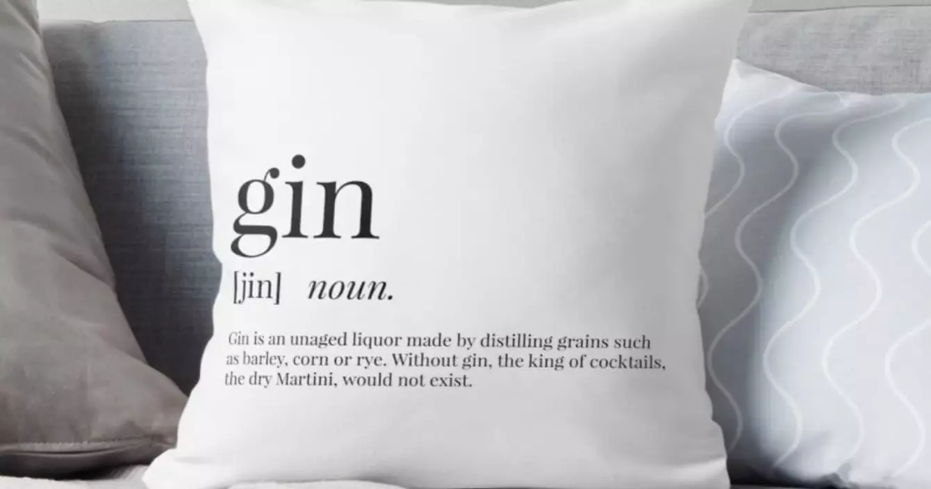 coussin-declaration-amour-gin-tonic