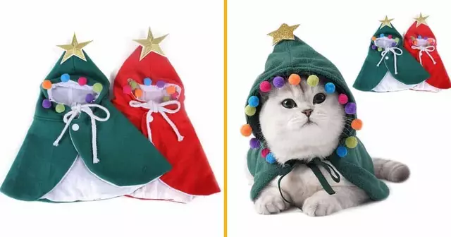 cape-noel-pour-chat