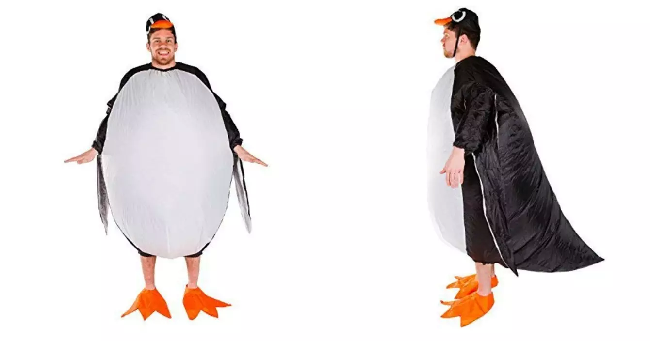 deguisement-pingouin