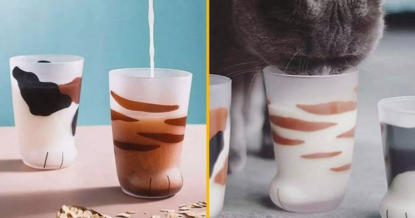 tasse-patte-chat-kawaii