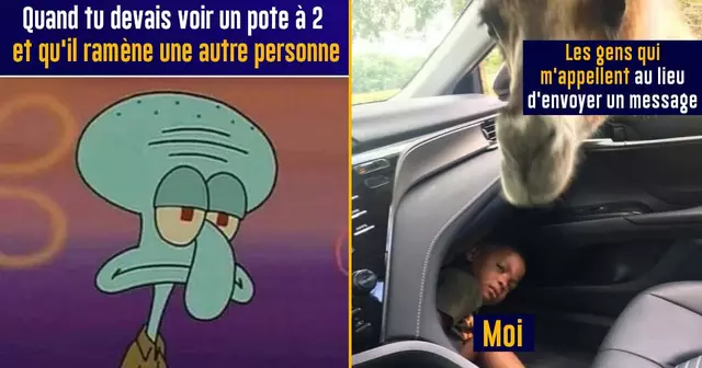 top memes introvertis-2