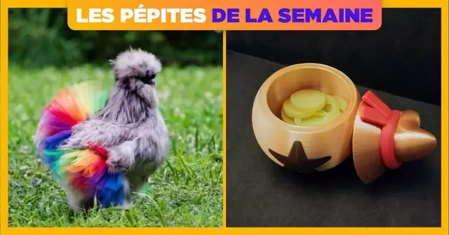 UNE-SHOPPING-PEPITE-SEMAINE-47