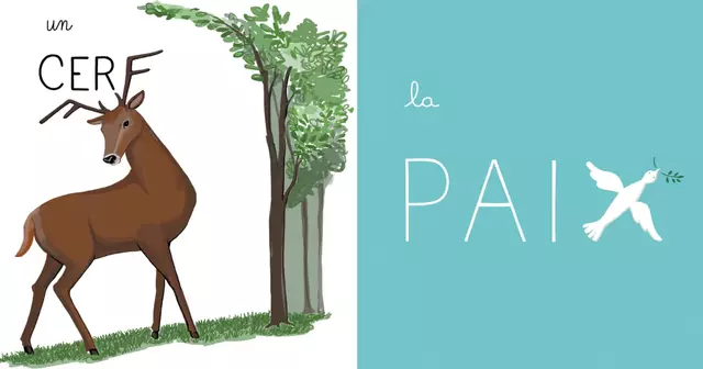 une_dessin_orthographe